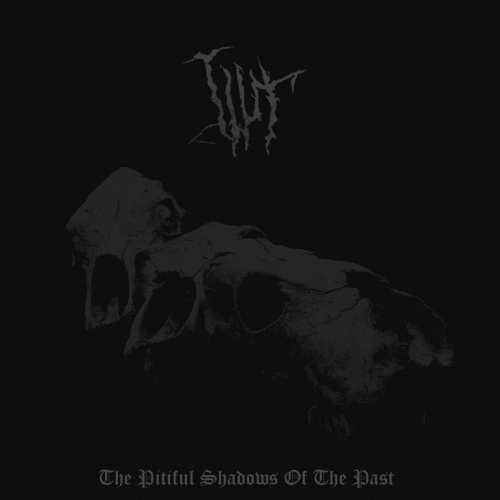 The Pitiful Shadows of the Past